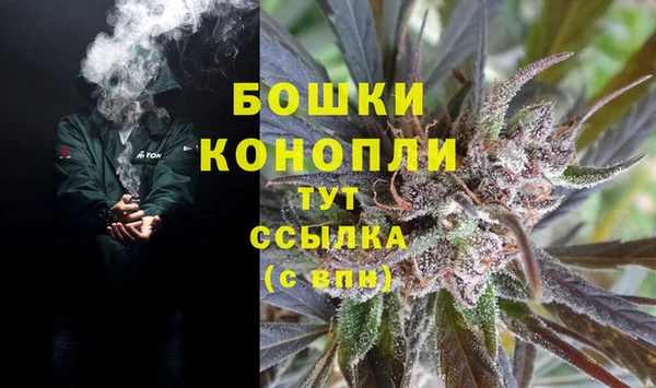 тгк Горняк