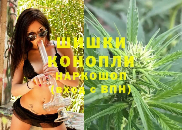 тгк Горняк