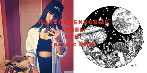 стафф Гусиноозёрск
