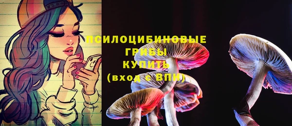 стафф Гусиноозёрск