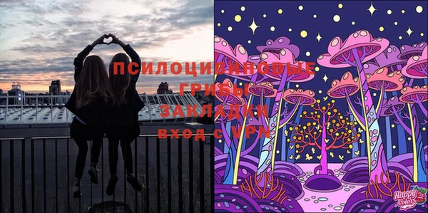 тгк Горняк
