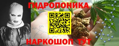 spice Кимры