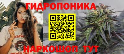 прущие грибы Кингисепп
