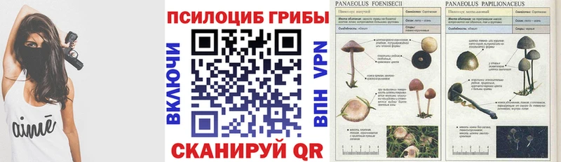 KRAKEN рабочий сайт  Москва  Псилоцибиновые грибы ЛСД 