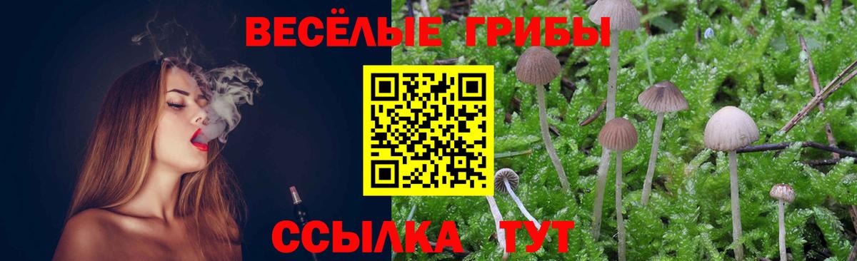 Галлюциногенные грибы MAGIC MUSHROOMS Москва