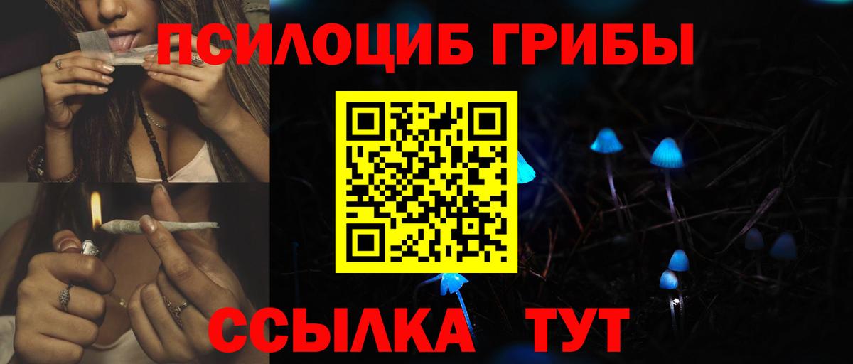 Москва  Псилоцибиновые грибы мицелий  Вход с VPN 
