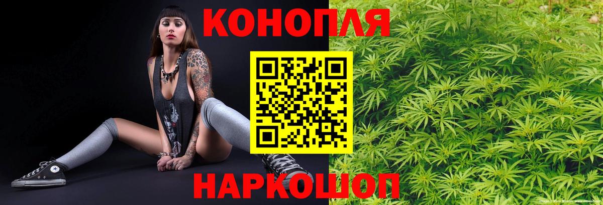 Бошки марихуана планчик Москва